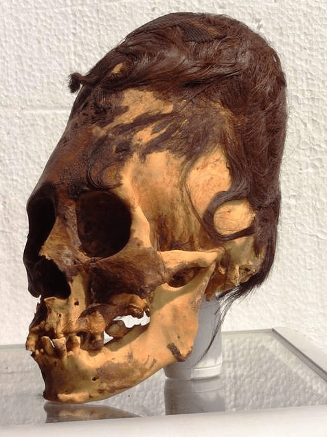 DNA Tests Reveal 3,000-year-old Paracas Skulls Are Of Unknown Human Race - NY NEWS
