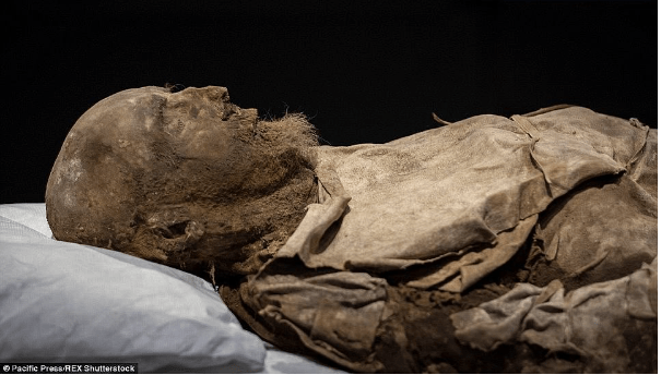 The mystery of the bishop’s mummy buried with a fetus since the 17th century