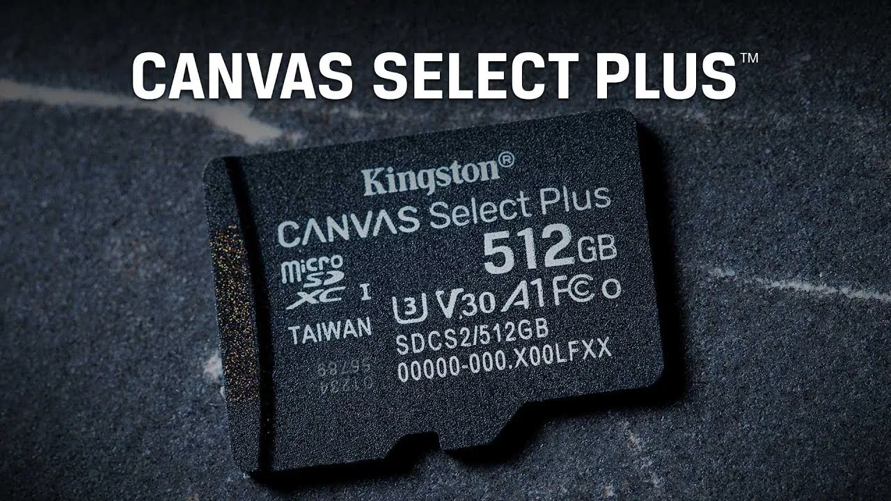 alt text: Close-up of Kingston Canvas Select Plus SD and microSD cards.