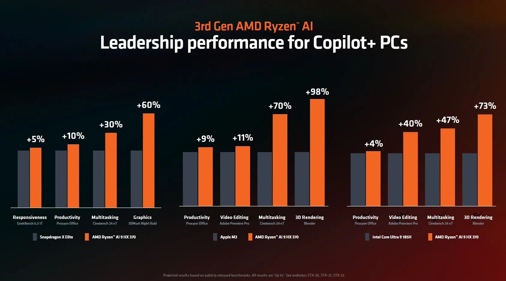 AMD Ryzen AI 300 Series Processor Diagram