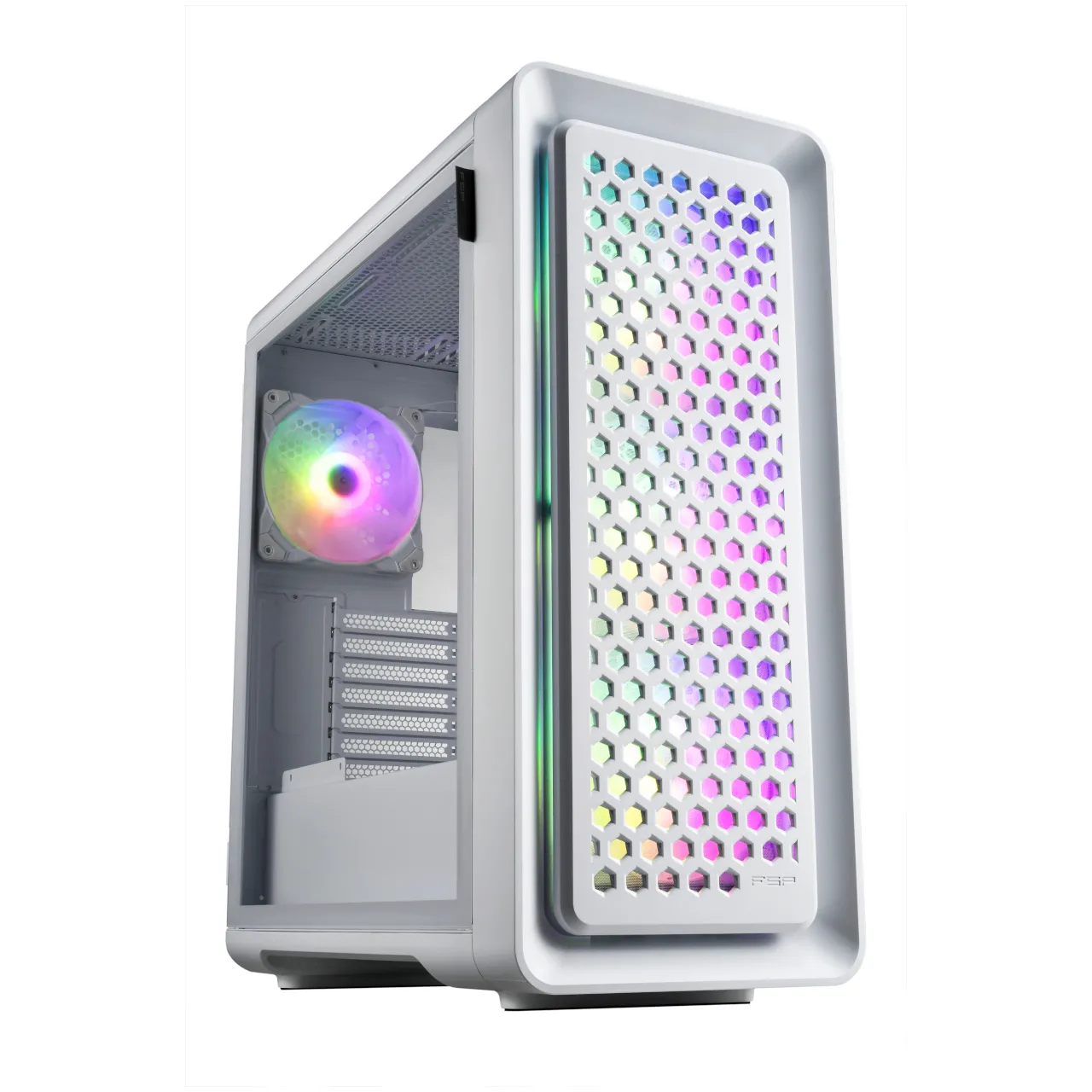 Black and White FSP CUT593 Premium Cases