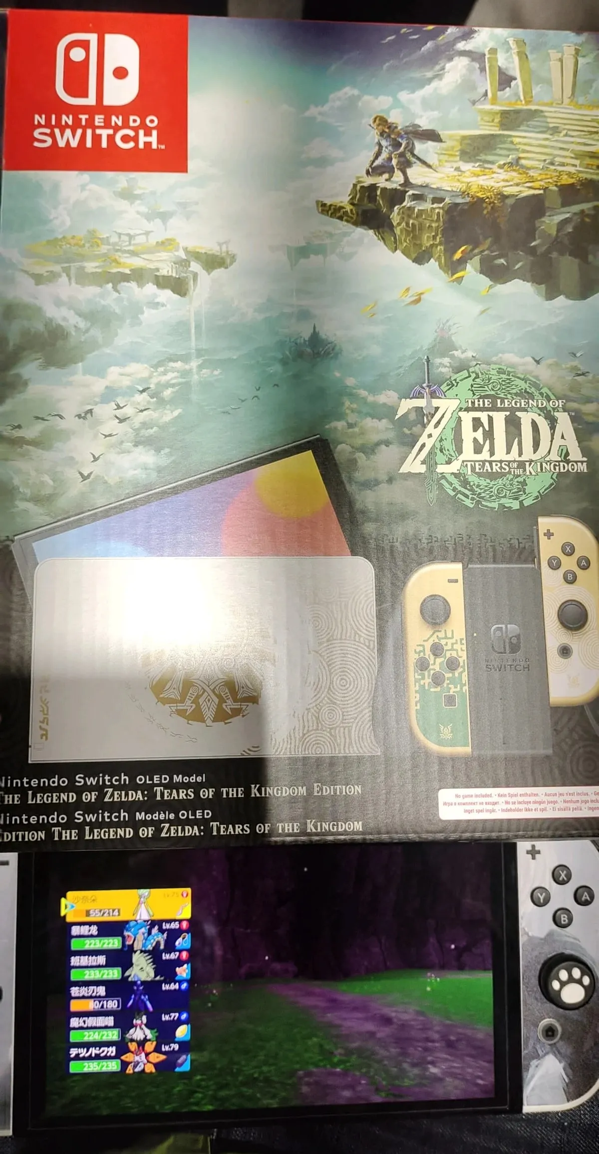 Close-up of the design on the Nintendo Switch OLED Zelda: Tears of the Kingdom edition