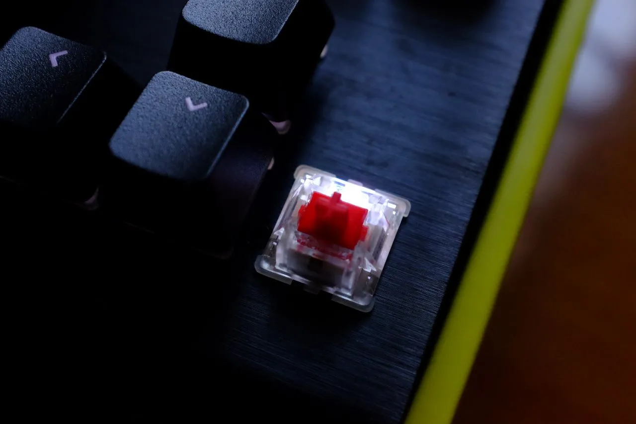 Close-up view of the keycaps