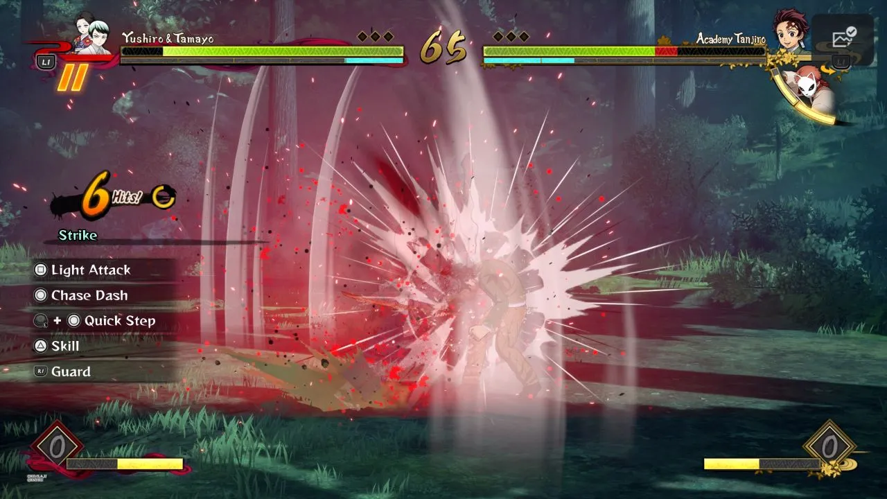 Combat scene from the game
