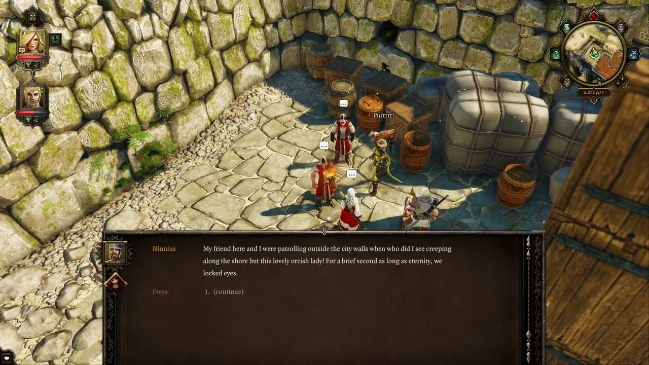 Divinity: Original Sin Enhanced Edition Environment