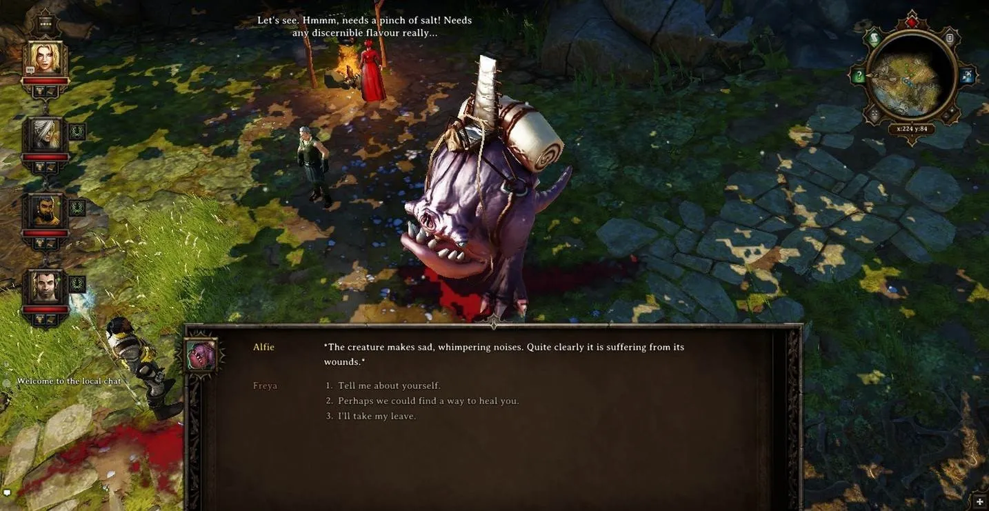 Divinity: Original Sin - Screenshot 1