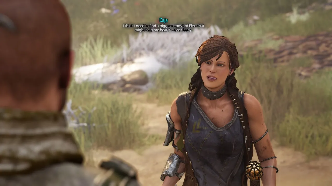 ELEX - Diverse Environments